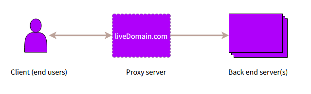 Acesssing an Xperience application through a reverse proxy server