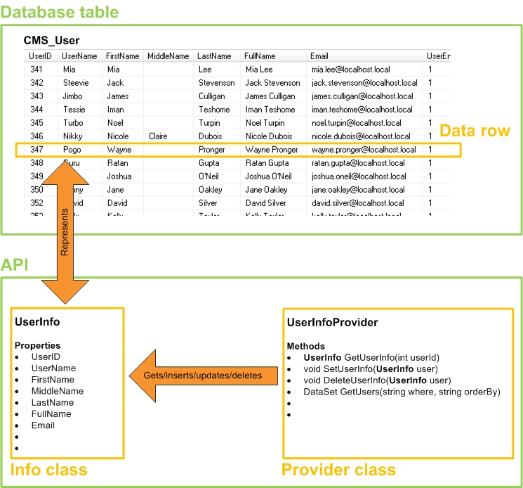 Info and Provider classes for the CMS_User database table