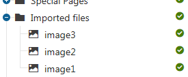 Uploaded files