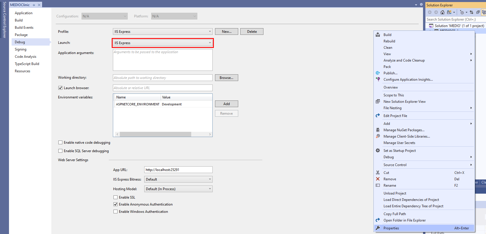 Configure IIS hosting for the application